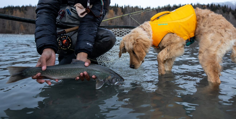 Load image into Gallery viewer, Ruffwear Float Coat Red - Discover Dogs Online