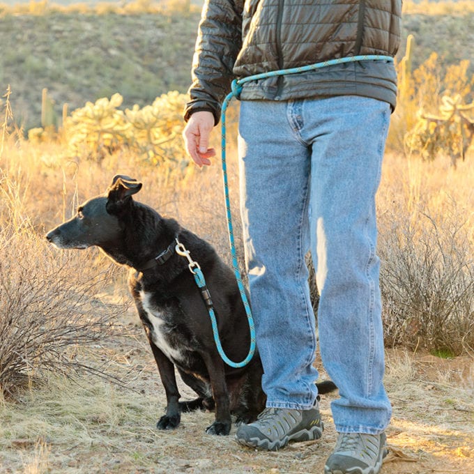 Load image into Gallery viewer, Mountain Dog Amazing Leash Versatile 7' - Discover Dogs Online
