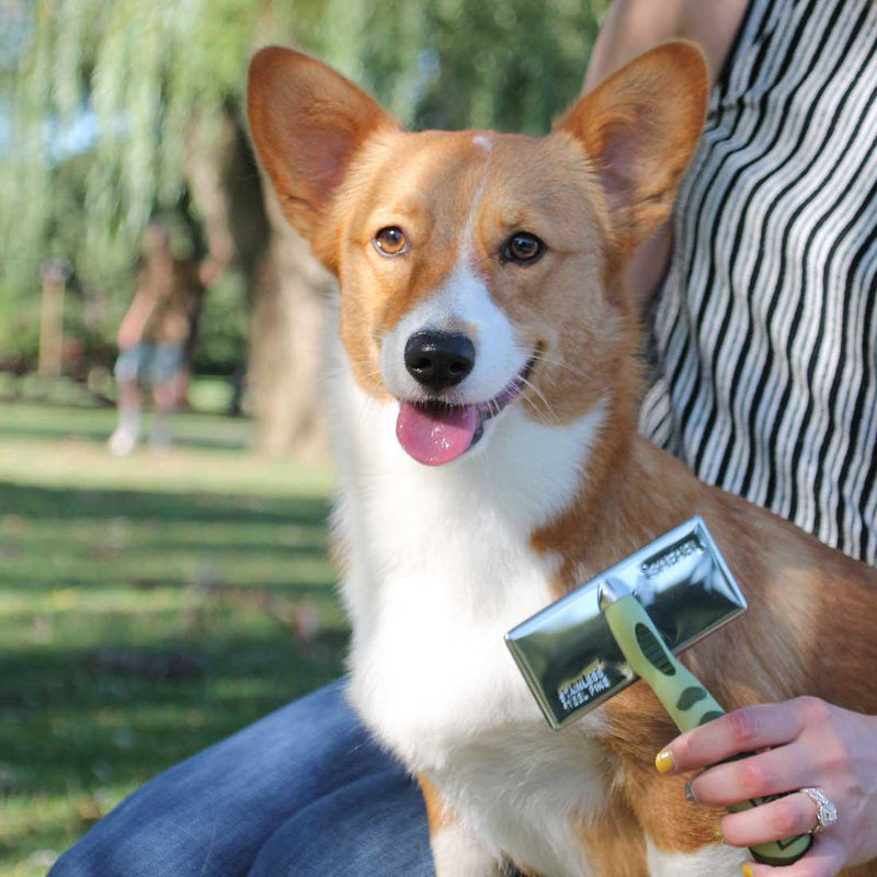 Load image into Gallery viewer, Coastal Soft Slicker - Discover Dogs