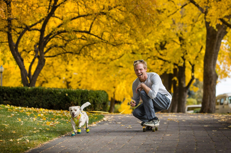 Load image into Gallery viewer, Ruffwear Flagline Harness Sage Green