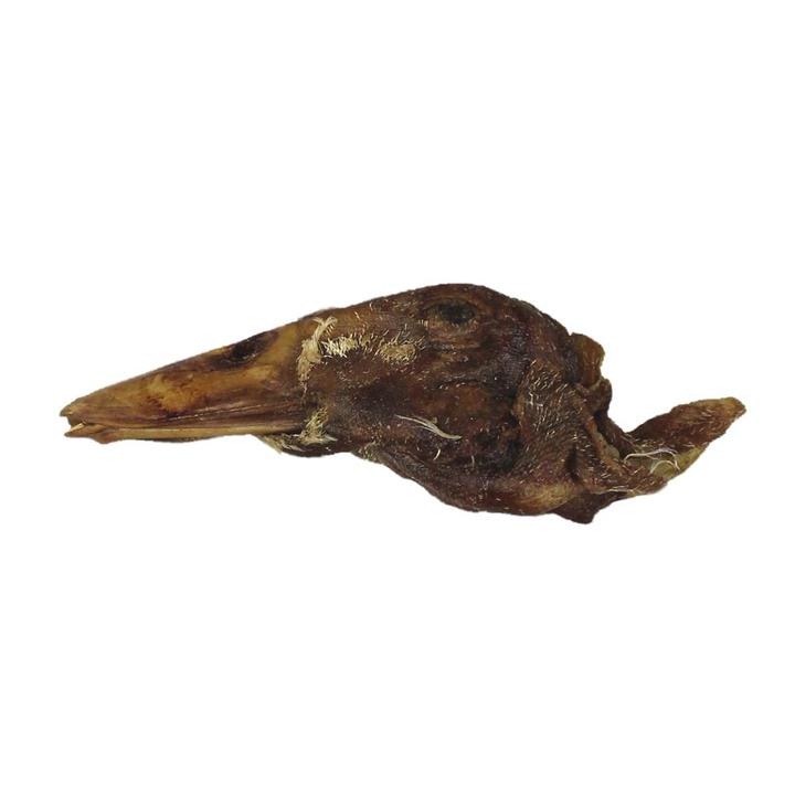 Load image into Gallery viewer, VE Duck Head - Discover Dogs Online