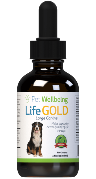 Load image into Gallery viewer, PW Life Gold - Discover Dogs Online