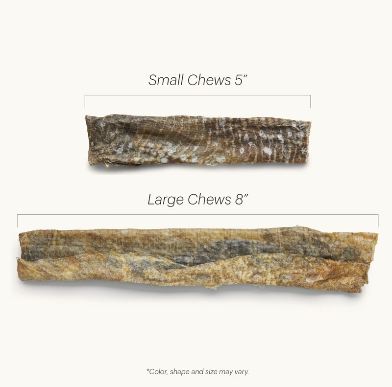 Load image into Gallery viewer, Honest Kitchen Cod Beams Chew - Discover Dogs