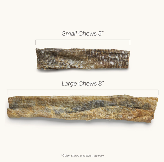 Honest Kitchen Cod Beams Chew - Discover Dogs