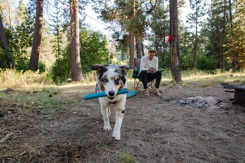 Load image into Gallery viewer, Ruffwear Gnawt-A-Stick - Discover Dogs