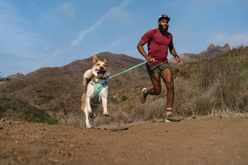 Load image into Gallery viewer, Ruffwear Hi & Light Harness Sage Green