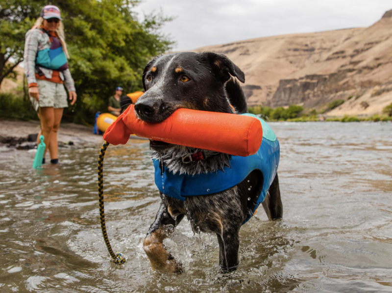 Load image into Gallery viewer, Ruffwear Lunker - Discover Dogs
