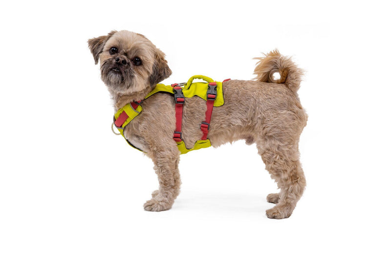 Load image into Gallery viewer, Ruffwear Flagline Harness Lichen Green