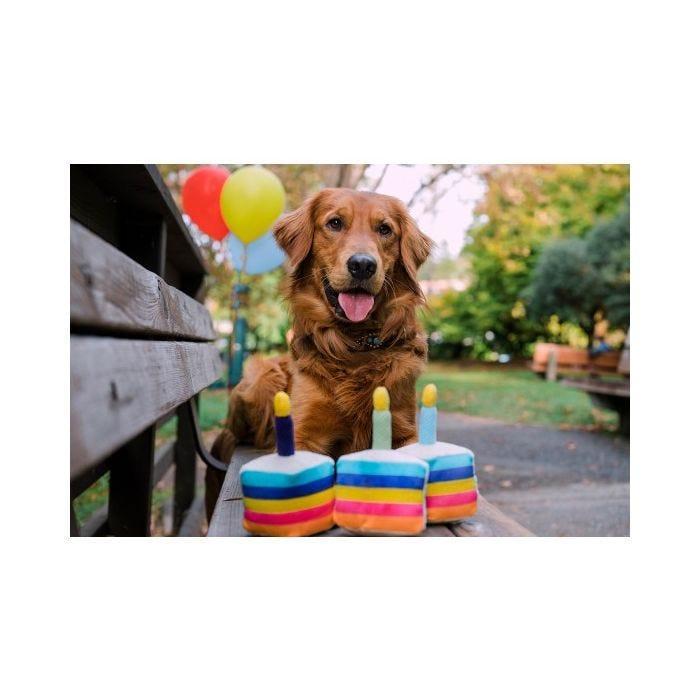 Load image into Gallery viewer, PLAY Party Time Cake - Discover Dogs
