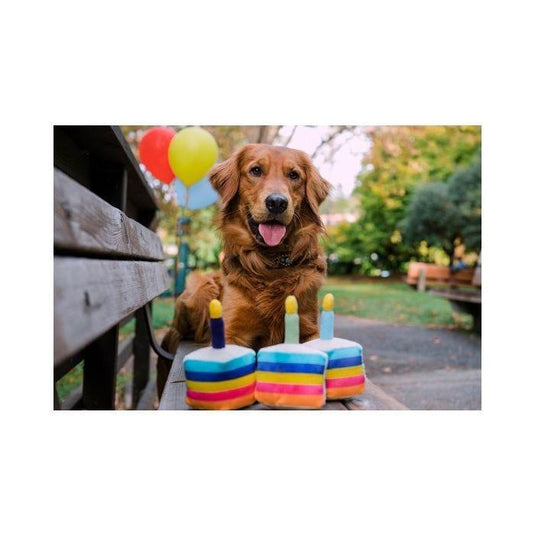 PLAY Party Time Cake