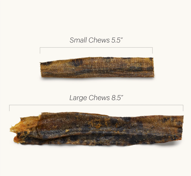 Load image into Gallery viewer, The Honest Kitchen Hearty Wolffish Ocean Chews