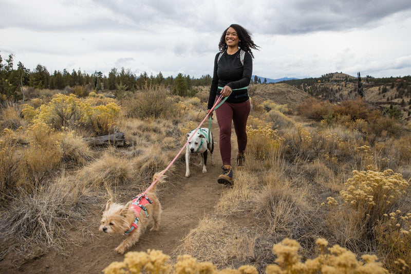 Load image into Gallery viewer, Ruffwear Flagline Harness Sage Green