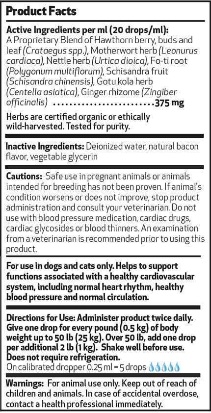 PW Young At Heart - Discover Dogs Online