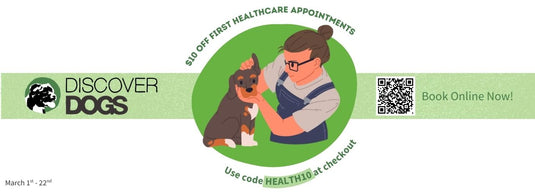 Ears, eyes and teeth - why preventative health care is essential