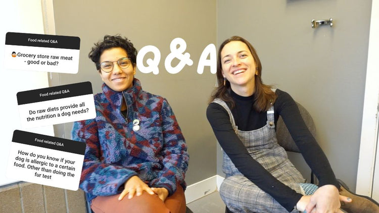 Nutrition Q&A With Kat and Tanya [video]