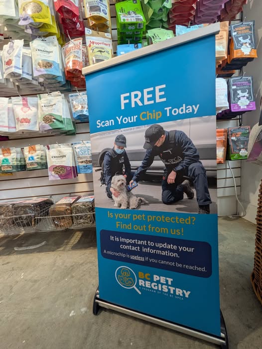 Microchip Test Program with the BCSPCA