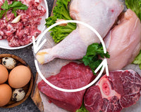 Rotating Proteins: Why and How We Suggest You Switch It Up!