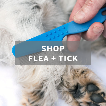 Flea and Tick Prevention and Treatment