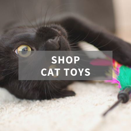 Shop Cat Toys