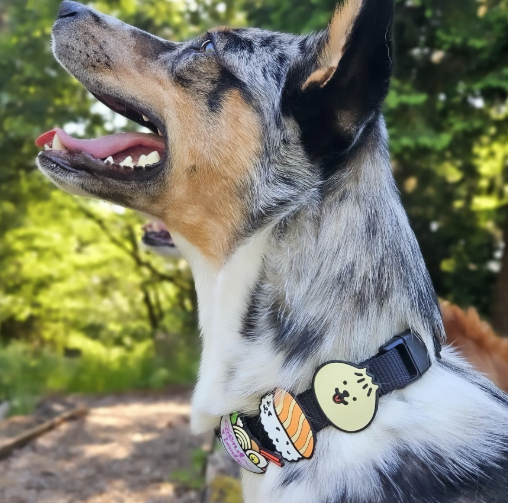 Jiby Dog Charm Sushi