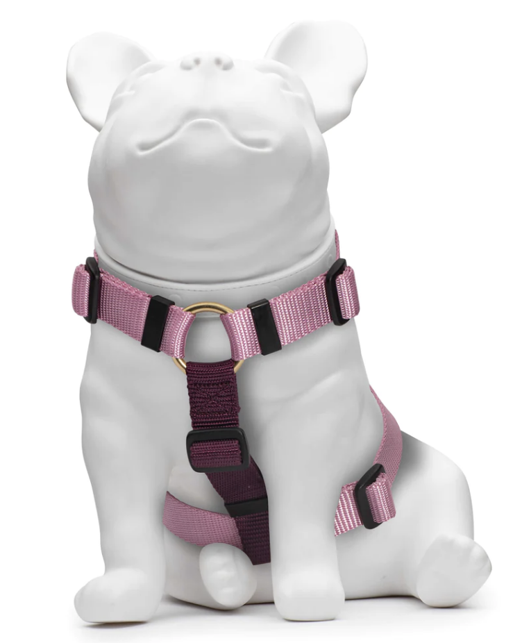 Load image into Gallery viewer, Knick Knack Paddy Whack Rose &amp; Purple Harness
