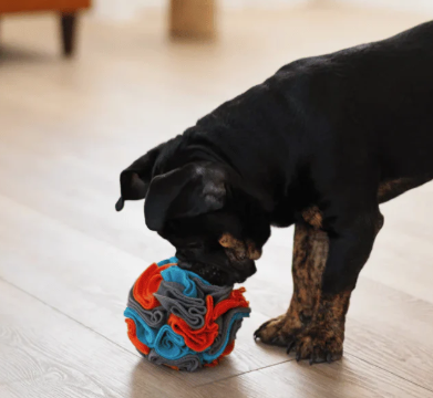 Load image into Gallery viewer, Messy Mutts Forage Ball
