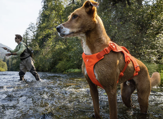 Ruffwear Web Master Basalt Gray