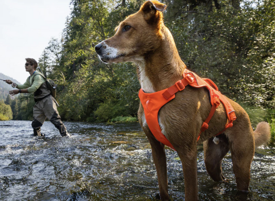 Ruffwear Web Master Blaze Orange