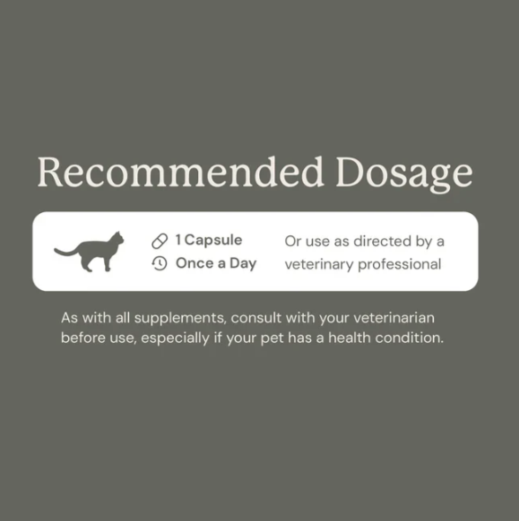 Load image into Gallery viewer, Animal Biome Gut Restore FMT for Cats 30ct
