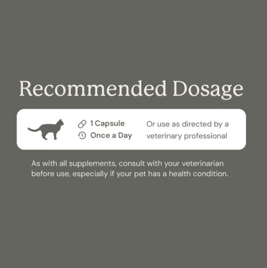 Animal Biome Gut Restore FMT for Cats 30ct
