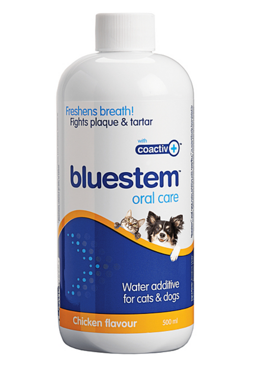 Bluestem Oral Care Water Additive 500ml