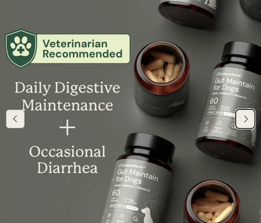 Animal Biome Gut Maintain for Dogs 60ct