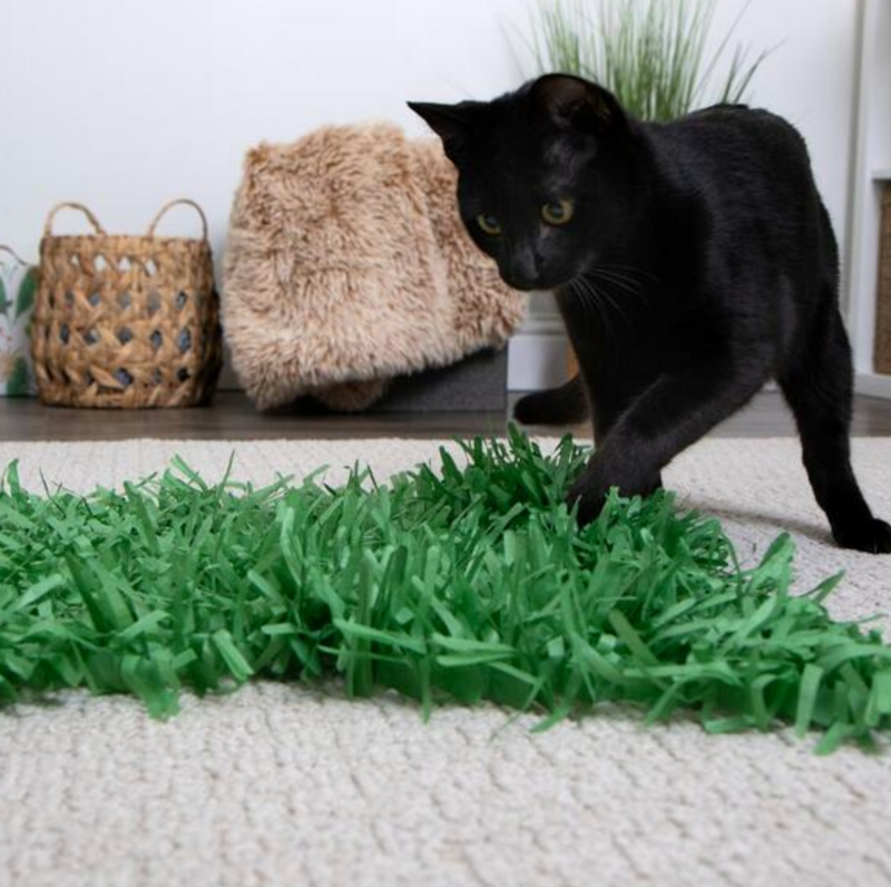 Load image into Gallery viewer, Instincts Paper Grass Hide &amp; Seek Cat Mat 2PK
