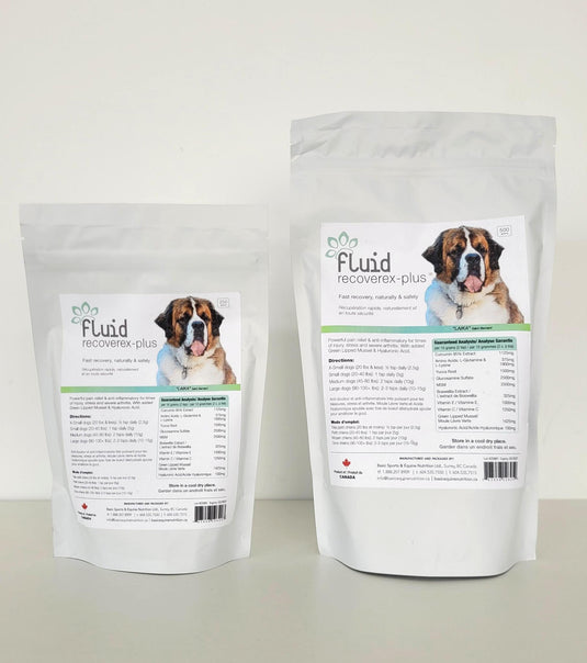 Fluid Recoverex-plus - Discover Dogs