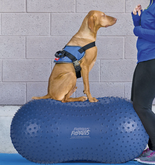 FitPAWS TRAX Peanut