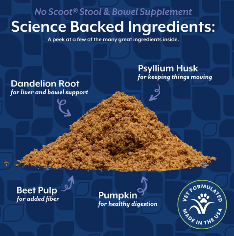 NaturVet No Scoot Supplement Powder 155g