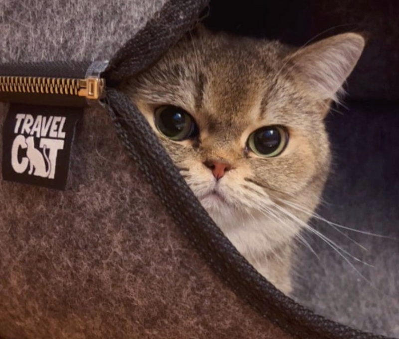Load image into Gallery viewer, Travel Cat Donut! Cat Hideaway Cave
