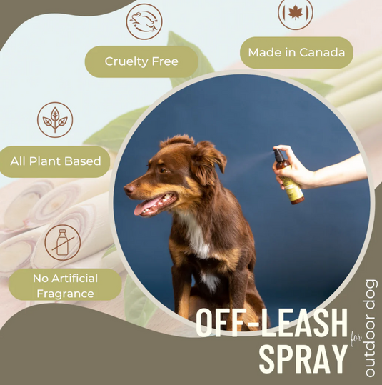 Black Sheep Organics Lemongrass & Mint Organic Off-Leash Spray 4oz