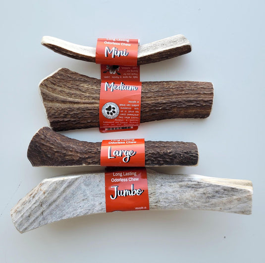 Yum Diggity Split Elk Antler - Discover Dogs