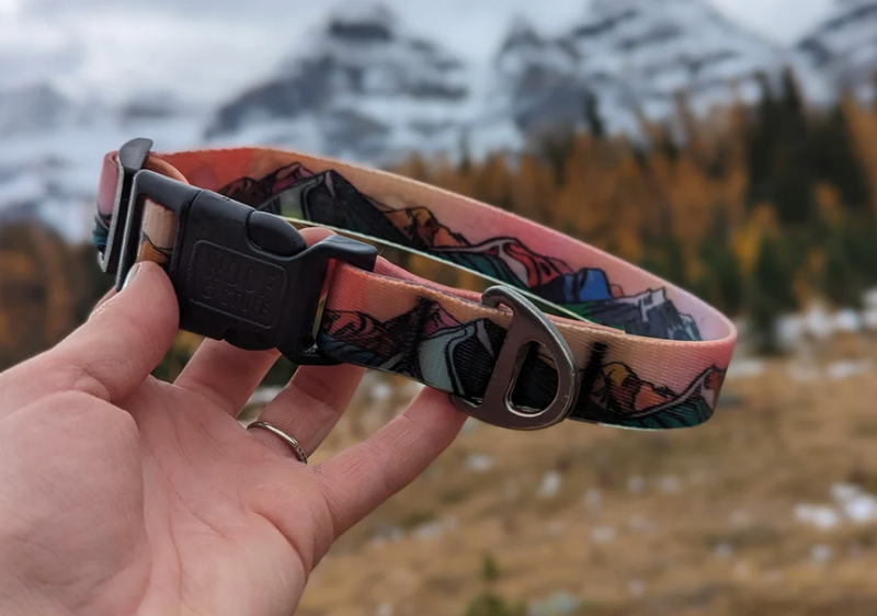 Load image into Gallery viewer, Woof &amp; Stuff Sunrise Waterproof Collar
