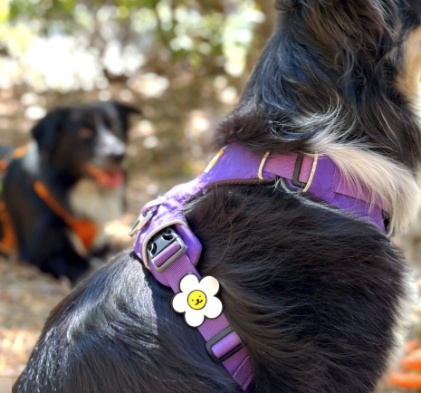 Jiby Dog Charm Daisy