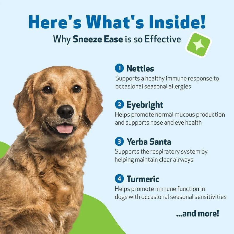 Load image into Gallery viewer, Pet Wellbeing Nettle Eyebright Gold (Sneeze Ease)
