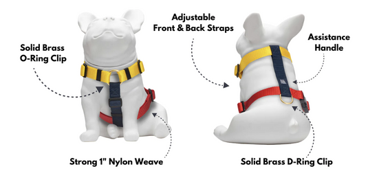Knick Knack Paddy Whack Prime Harness