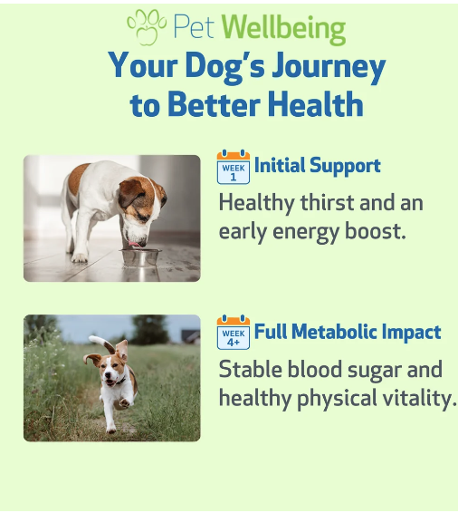 Pet Wellbeing Blood Sugar Gold