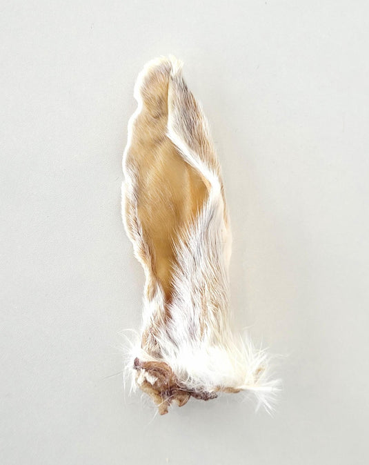 Grand Valley Rabbit Ear