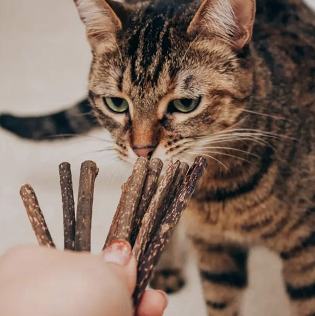 Load image into Gallery viewer, Only One Treats Silvervine Cat Treat Stick
