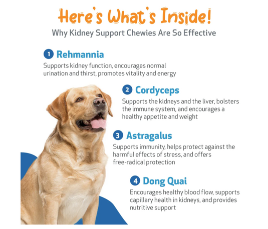 Pet Wellbeing Kidney Support Chewies Fluid Balance and Kidney Health for Dogs
