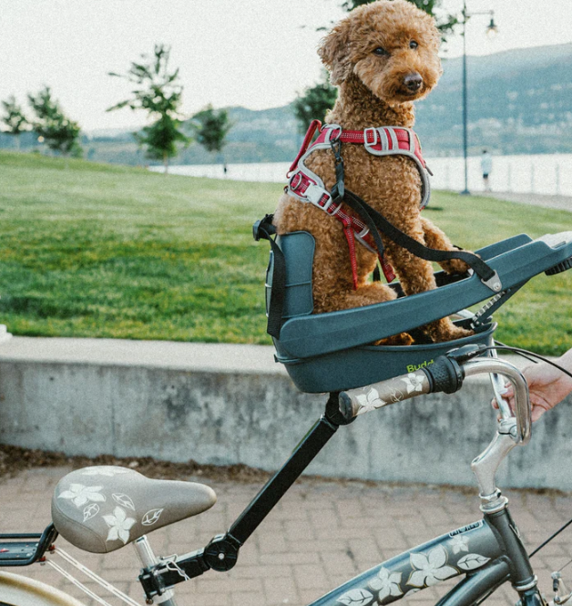 Load image into Gallery viewer, BuddyRider Series 2
