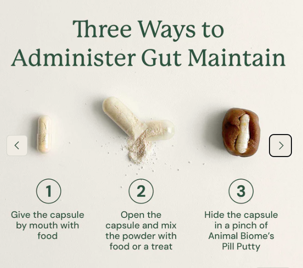 Load image into Gallery viewer, Animal Biome Gut Maintain for Dogs 60ct
