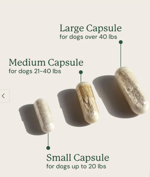 Load image into Gallery viewer, Animal Biome Gut Maintain for Dogs 60ct
